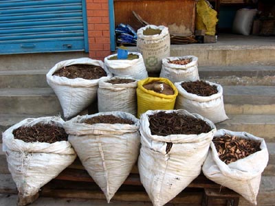 Incense powder