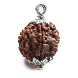 Rudraksha Perle 3 cm  7F