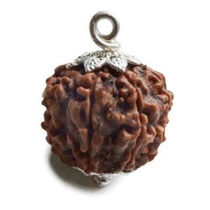 Rudraksha Perle  3 cm Silber 8F