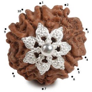 Rudraksha Perle  3 cm Silber 10F