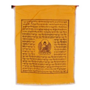 Prayerflags Medicine Buddha (25 flags) 650 cm M