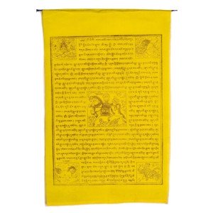 Prayerflags Windhorse (25 flags) 850 cm CO