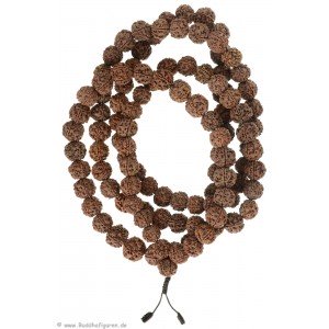 Mala Rudraksha beads-Mala 15 mm thick-1