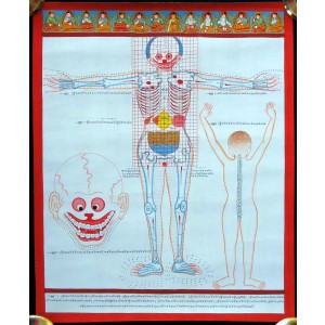 Tibetan Medicine Yoga Thangka no. 5 - 40 x 48cm