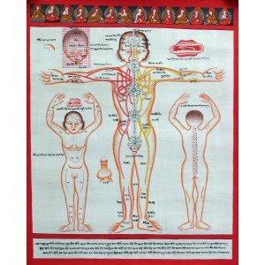 Tibetan Medicine Yoga Thangka no. 3 - 40 x 49cm