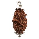 Rudraksha Perle oval 4,6 cm Silber 2F