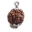 Rudraksha Perle 3 cm  7F