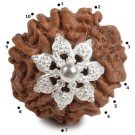 Rudraksha Perle  3 cm Silber 10F