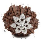 Rudraksha Perle  2,8 cm Silber 11F