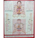Tibetan Medicine Yoga Thangka no. 7 - 40 x 49cm